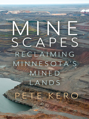 cover image of Minescapes